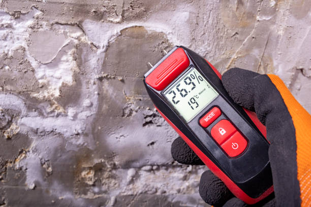 Professional Mold Removal in West Pelzer, SC