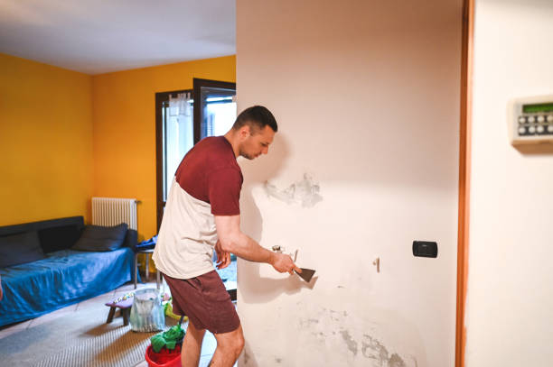 Mold Removal Process in West Pelzer, SC