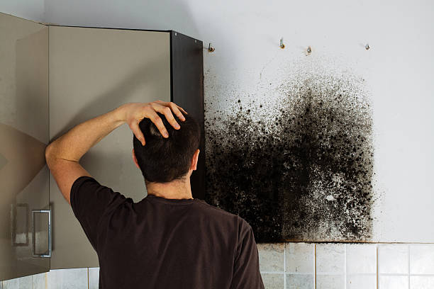 Best Mold Cleaning Services  in West Pelzer, SC